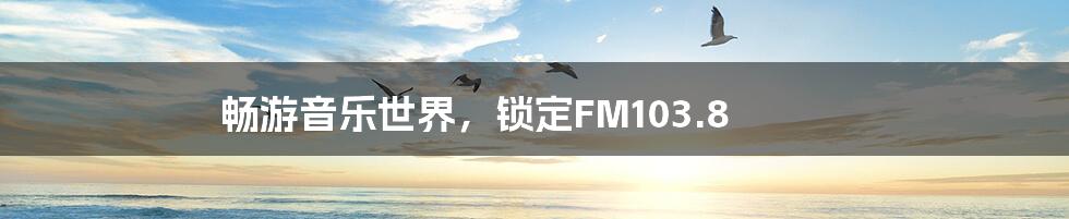 畅游音乐世界，锁定FM103.8