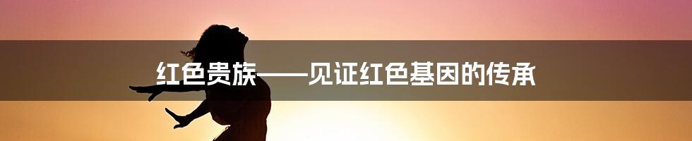 红色贵族——见证红色基因的传承