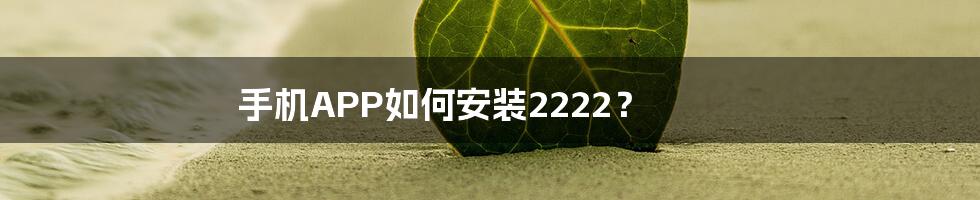 手机APP如何安装2222？