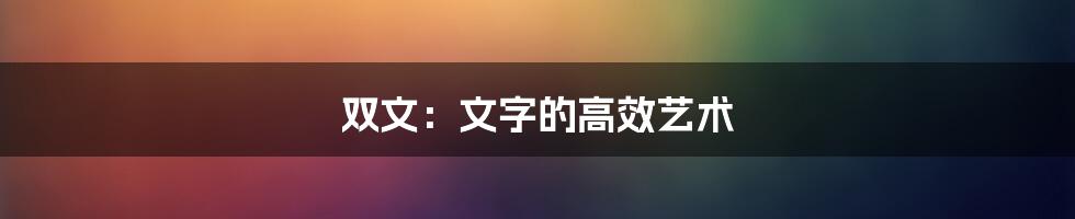 双文：文字的高效艺术