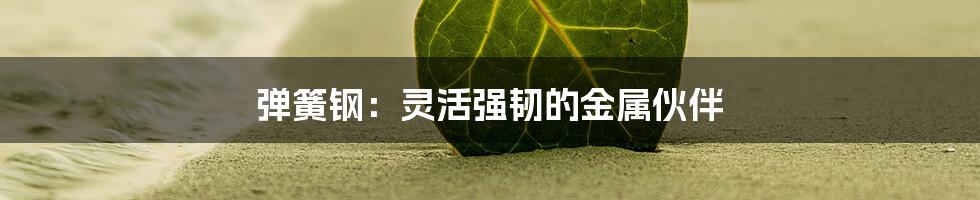 弹簧钢：灵活强韧的金属伙伴