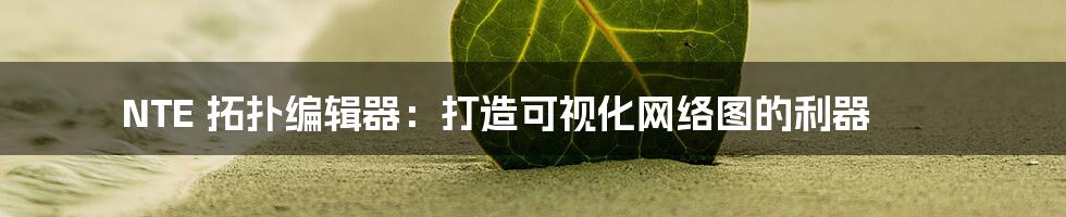 NTE 拓扑编辑器：打造可视化网络图的利器