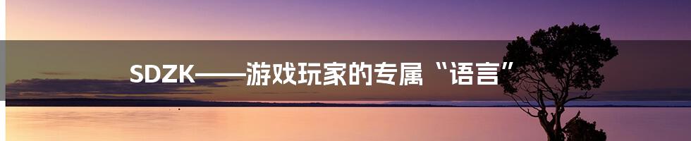 SDZK——游戏玩家的专属“语言”