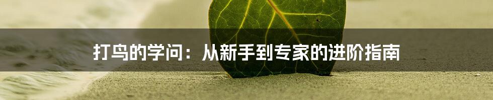 打鸟的学问：从新手到专家的进阶指南