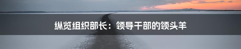 纵览组织部长：领导干部的领头羊