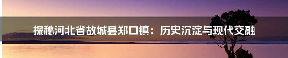 探秘河北省故城县郑口镇：历史沉淀与现代交融