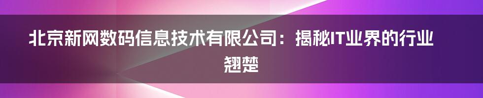 北京新网数码信息技术有限公司：揭秘IT业界的行业翘楚