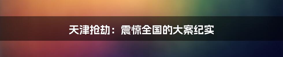 天津抢劫：震惊全国的大案纪实