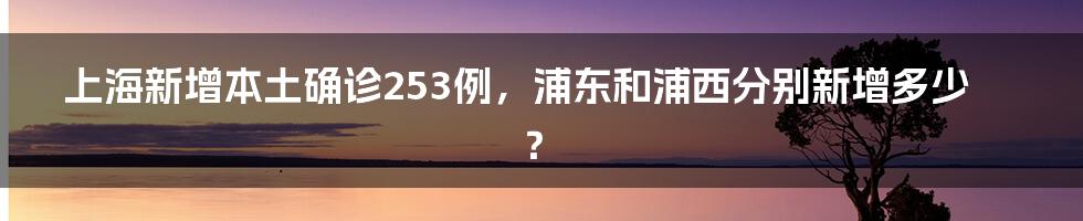 上海新增本土确诊253例，浦东和浦西分别新增多少？