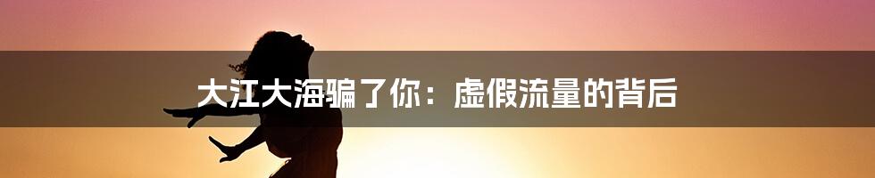 大江大海骗了你：虚假流量的背后