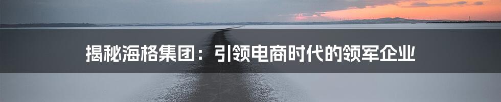 揭秘海格集团：引领电商时代的领军企业