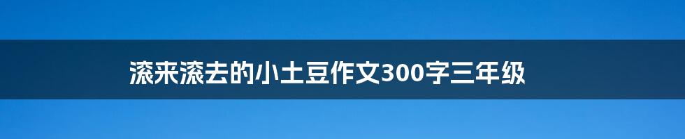 滚来滚去的小土豆作文300字三年级