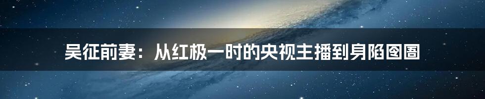 吴征前妻：从红极一时的央视主播到身陷囹圄