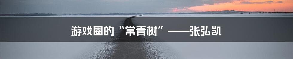 游戏圈的“常青树”——张弘凯