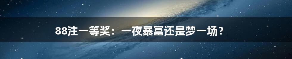 88注一等奖：一夜暴富还是梦一场？