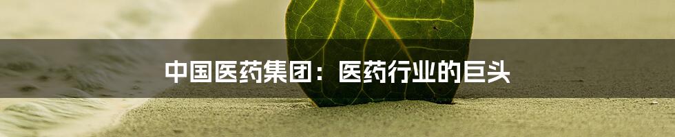 中国医药集团：医药行业的巨头