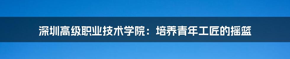 深圳高级职业技术学院：培养青年工匠的摇篮