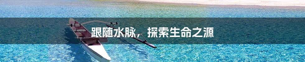 跟随水脉，探索生命之源