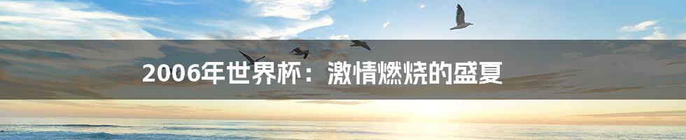 2006年世界杯：激情燃烧的盛夏