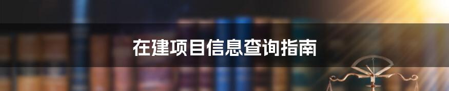 在建项目信息查询指南