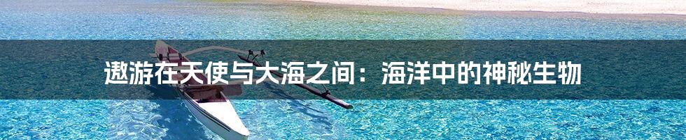 遨游在天使与大海之间：海洋中的神秘生物