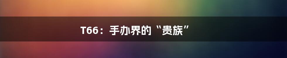 T66：手办界的“贵族”