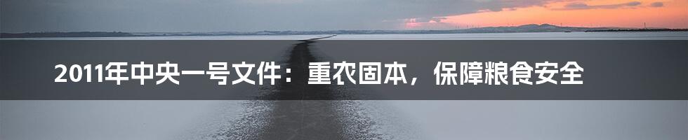 2011年中央一号文件：重农固本，保障粮食安全