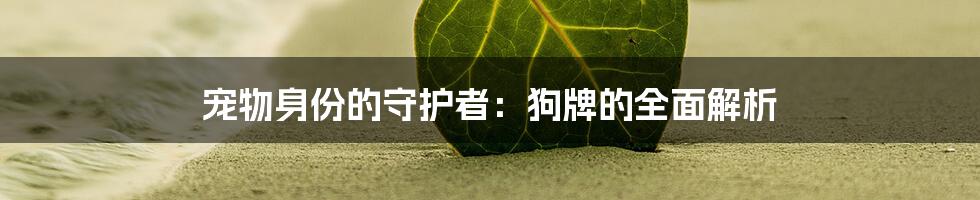 宠物身份的守护者：狗牌的全面解析