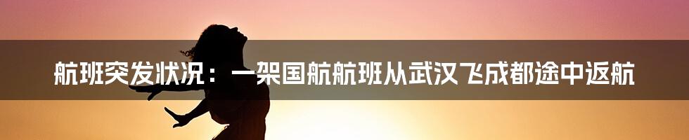 航班突发状况：一架国航航班从武汉飞成都途中返航