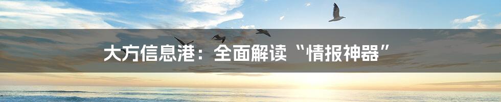 大方信息港：全面解读“情报神器”