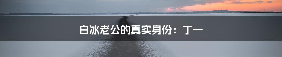 白冰老公的真实身份：丁一