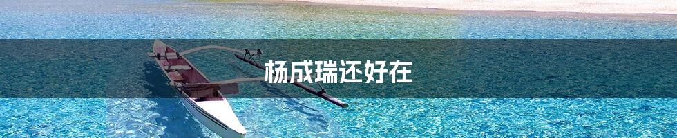 杨成瑞还好在