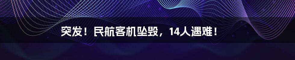 突发！民航客机坠毁，14人遇难！