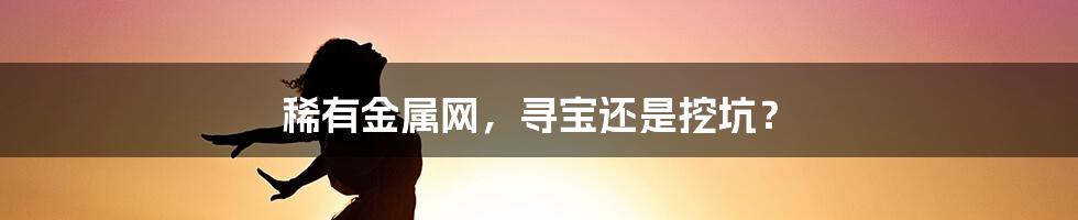 稀有金属网，寻宝还是挖坑？