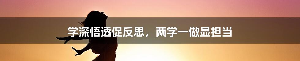 学深悟透促反思，两学一做显担当