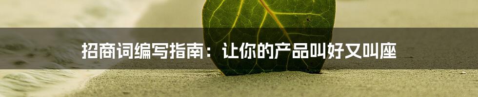 招商词编写指南：让你的产品叫好又叫座