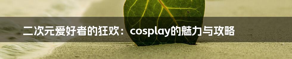 二次元爱好者的狂欢：cosplay的魅力与攻略