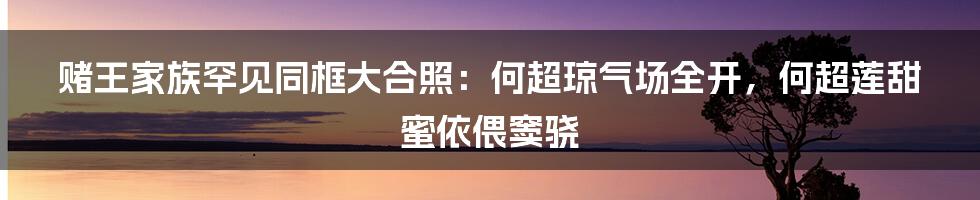 赌王家族罕见同框大合照：何超琼气场全开，何超莲甜蜜依偎窦骁