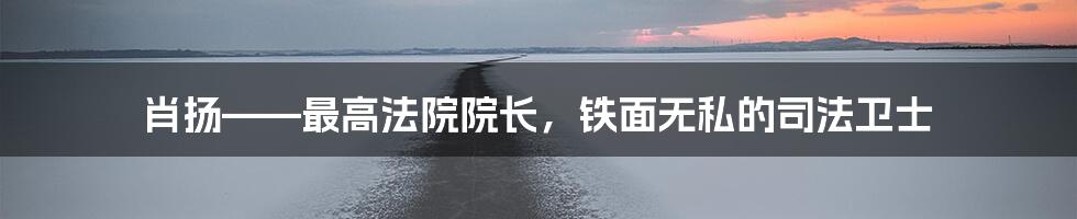 肖扬——最高法院院长，铁面无私的司法卫士