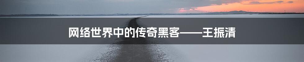 网络世界中的传奇黑客——王振清