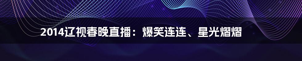 2014辽视春晚直播：爆笑连连、星光熠熠