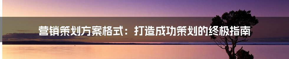 营销策划方案格式：打造成功策划的终极指南