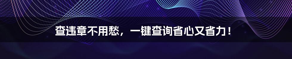 查违章不用愁，一键查询省心又省力！