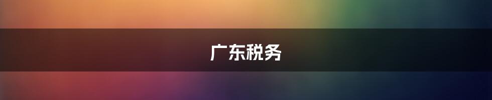 广东税务