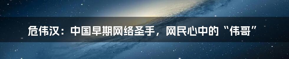 危伟汉：中国早期网络圣手，网民心中的“伟哥”