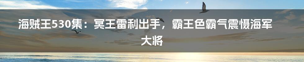 海贼王530集：冥王雷利出手，霸王色霸气震慑海军大将