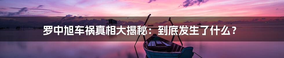 罗中旭车祸真相大揭秘：到底发生了什么？