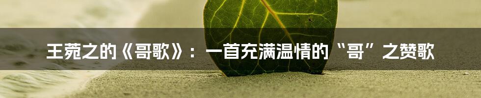 王菀之的《哥歌》：一首充满温情的“哥”之赞歌