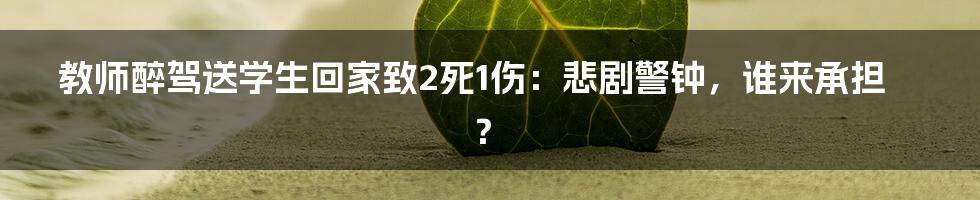 教师醉驾送学生回家致2死1伤：悲剧警钟，谁来承担？