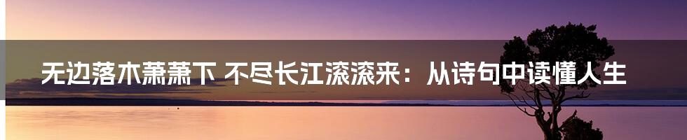 无边落木萧萧下 不尽长江滚滚来：从诗句中读懂人生